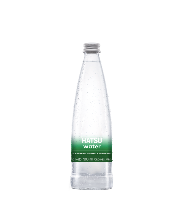 Agua mineral natural carbonatada. 300 ml