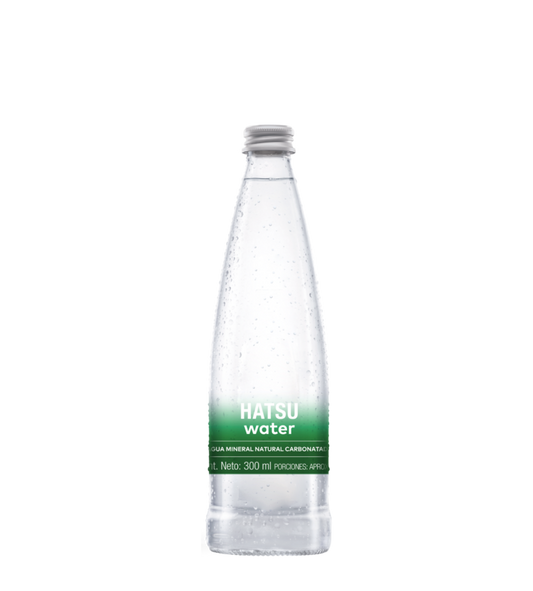 Agua mineral natural carbonatada. 300 ml