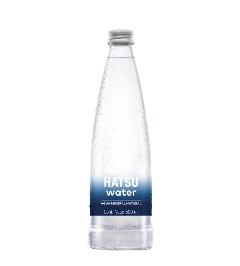 AGUA MINERAL NATURAL 500 ml