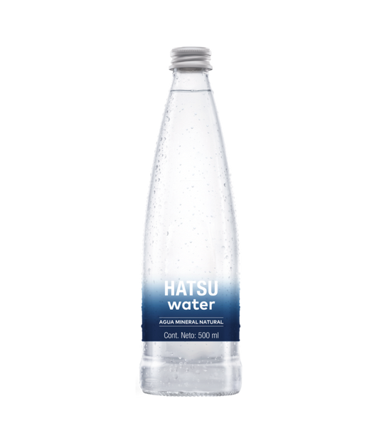Agua mineral natural 500 ml